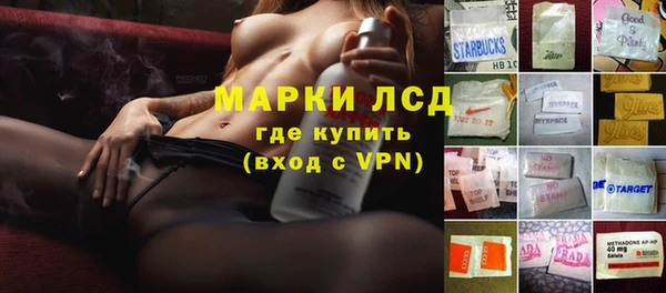 сатива Семилуки
