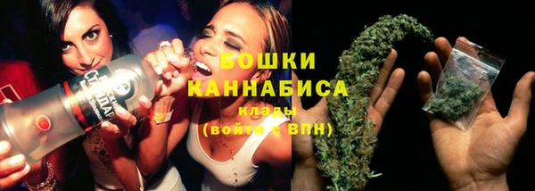 сатива Семилуки