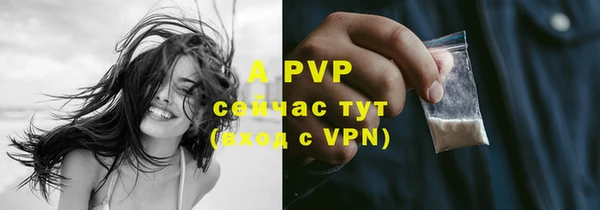 стаф Семикаракорск