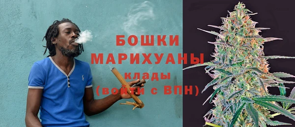 сатива Семилуки