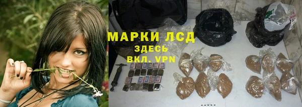 стаф Семикаракорск