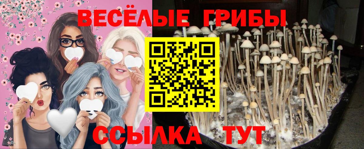 Галлюциногенные грибы мицелий Ижевск